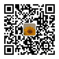 星空·体育-星空（中国）一站式服务官方网站
